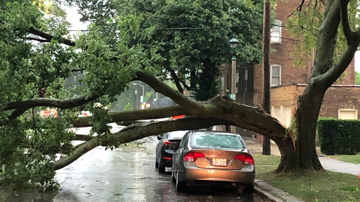 Part of a tree that had split at the trunk lies on a road in Oak Park, Ill., while also appearing not to have landed on a car parked on the road, after a severe storm moved through the Chicago area Monday, Aug. 10, 2020.