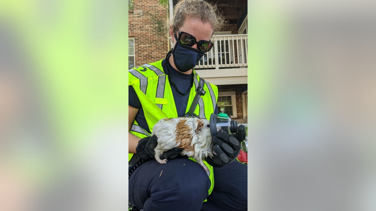 Facebook commenters thanked the first responders for their bravery in fighting the fire and saving the animals.