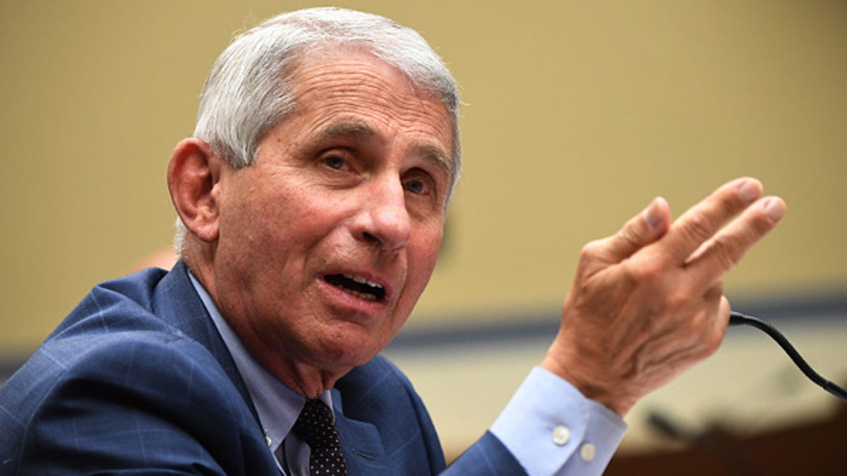 Dr. Anthony Fauci, director of the National Institute for Allergy and Infectious Diseases, testifies before a House Subcommittee on the Coronavirus Crisis hearing on July 31, 2020 in Washington, DC. (Photo by Kevin Dietsch-Pool/Getty Images)