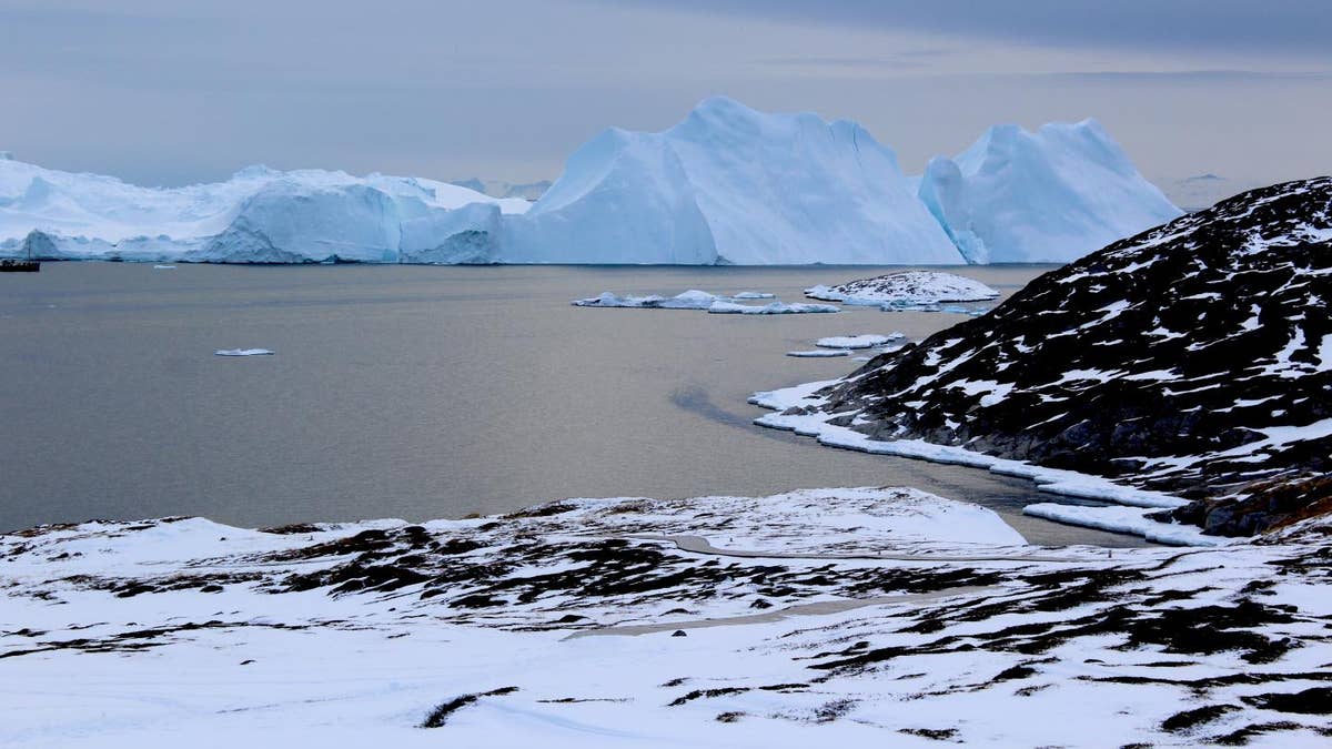 Icebergs near Greenland form from ice that has broken off--or calved--from glaciers on the island. A new study shows that the glaciers are losing ice rapidly enough that, even if global warming were to stop, Greenland's glaciers would continue to shrink. (Credit: Michalea King)