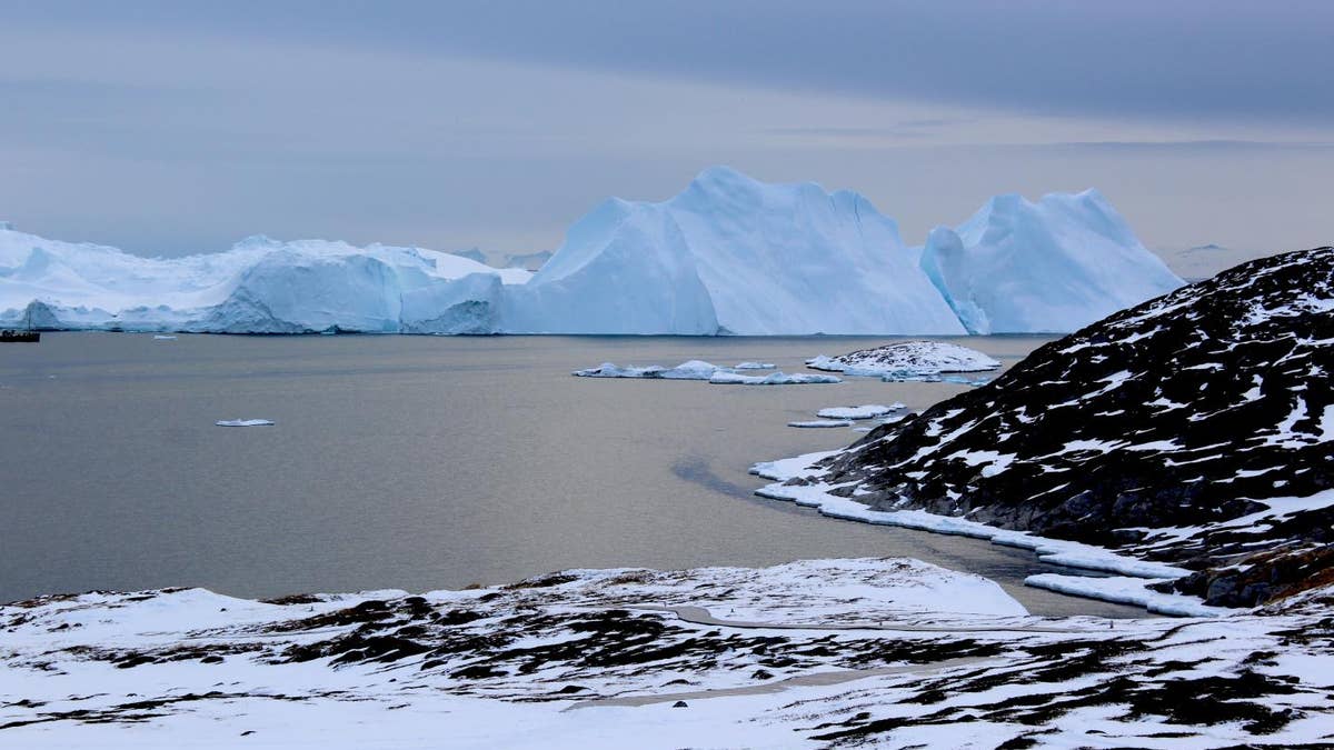 Icebergs near Greenland form from ice that has broken off--or calved--from glaciers on the island. A new study shows that the glaciers are losing ice rapidly enough that, even if global warming were to stop, Greenland's glaciers would continue to shrink. (Credit: Michalea King)