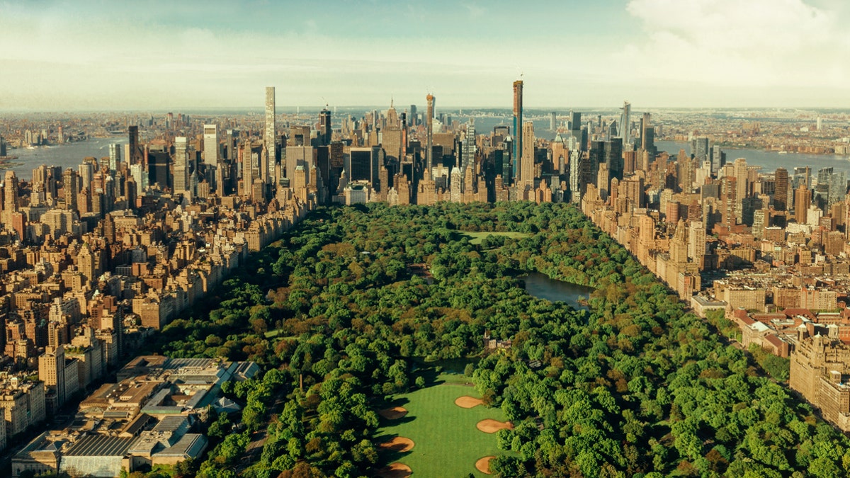 The healthcare workers would gather in Central Park and exchange stories over a bottle of wine. 