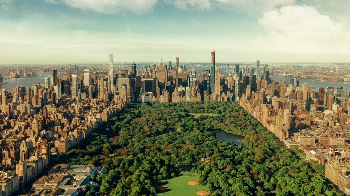 The healthcare workers would gather in Central Park and exchange stories over a bottle of wine.