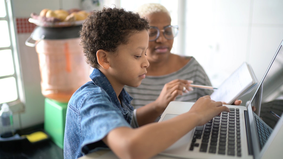 child online with adult watching