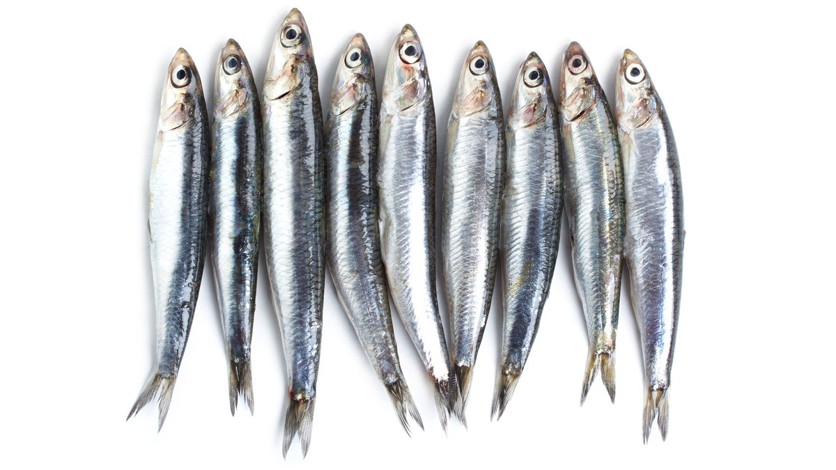 Sardines had the highest level of microplastic found in the Australian sample study. (iStock) 