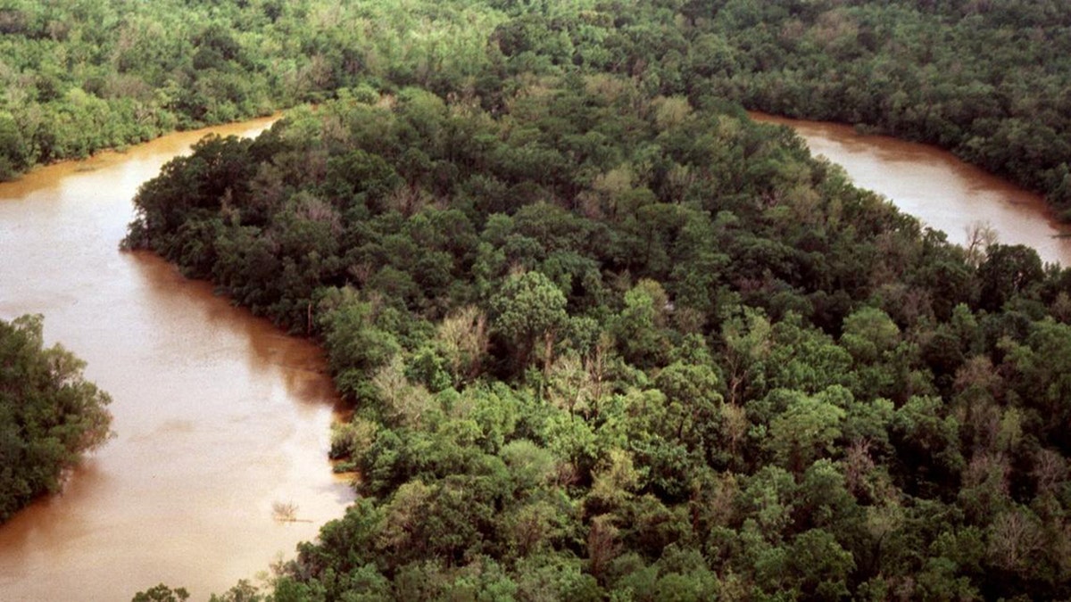 The Neches River in Texas reversed flow as Hurricane Laura's fierce winds pushed water onshore and upstream.