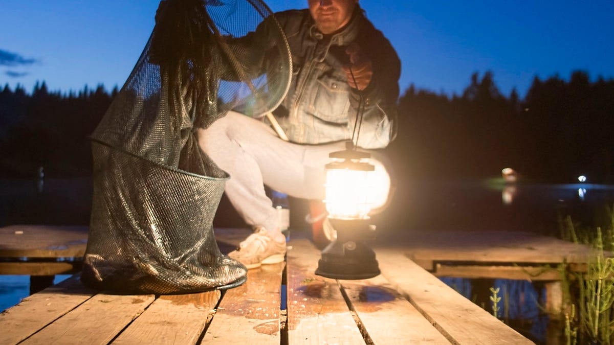 A man shows a fish caught in the light of a lamp.