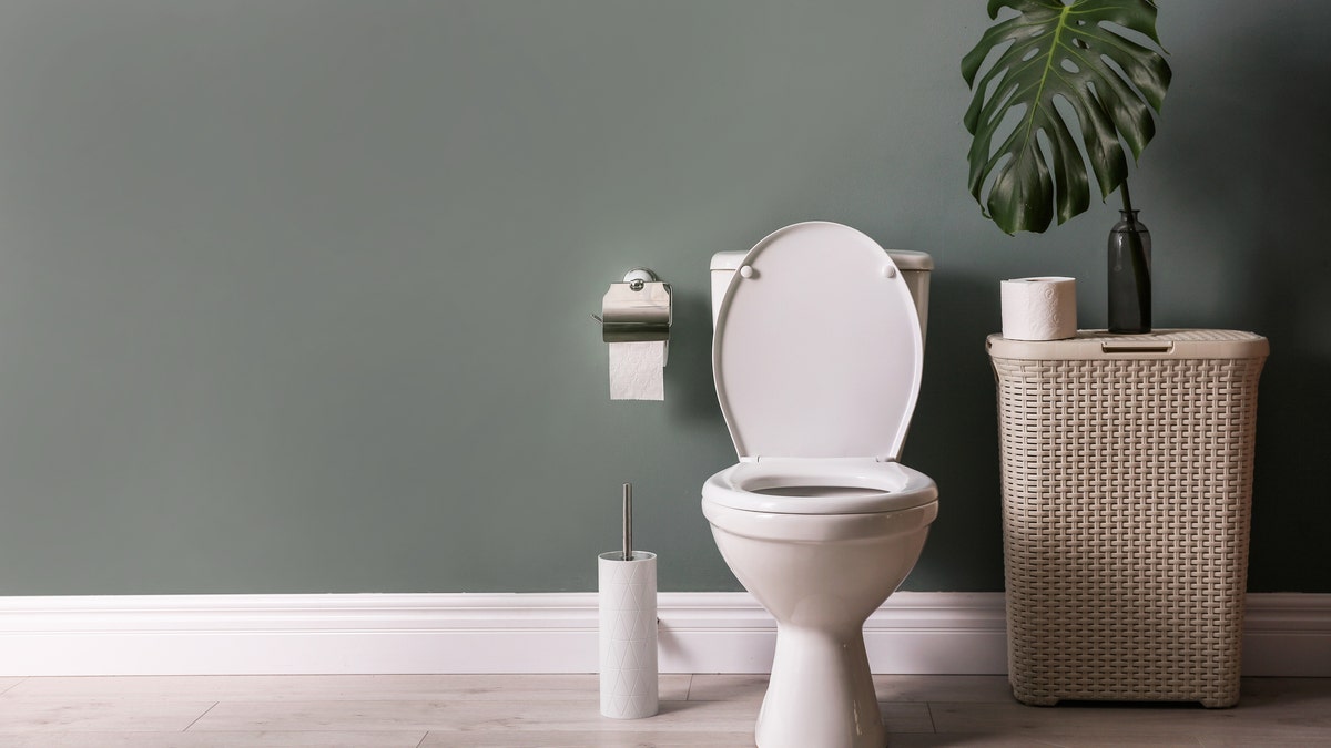 The study authors performed a simulation tracing aerosols in the apartment building to see if plumbing could be the source since reports have stated that novel coronavirus can be found in feces. (iStock)
