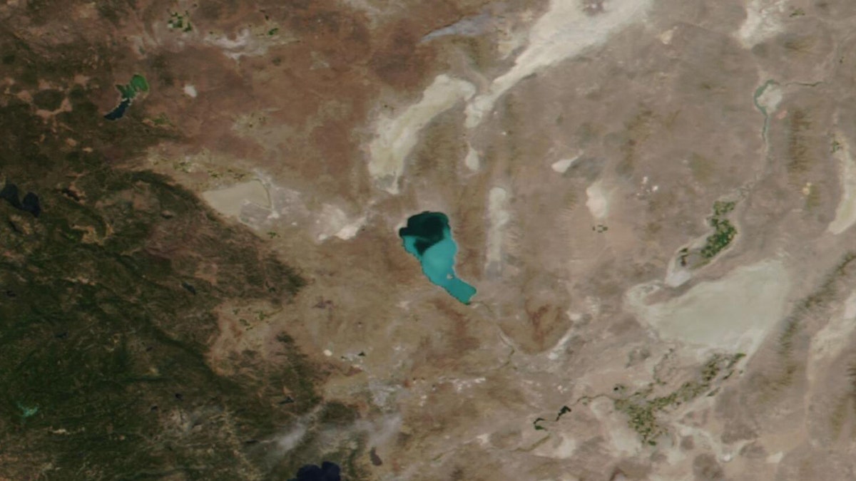 A toxic algae bloom can be see on Lake Pyramid in Nevada on Aug. 13, 2020.