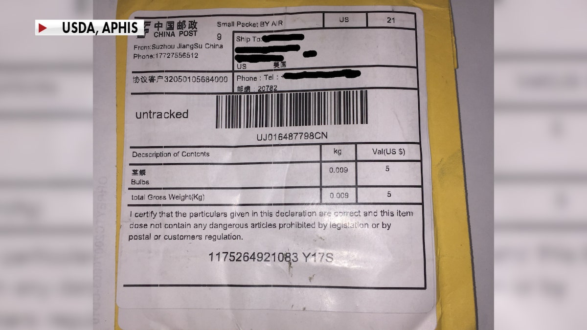 Recipients of the packages say the seeds were sent from China, contained Chinese lettering on the outside, and posted a false product description. (USDA, APHIS)