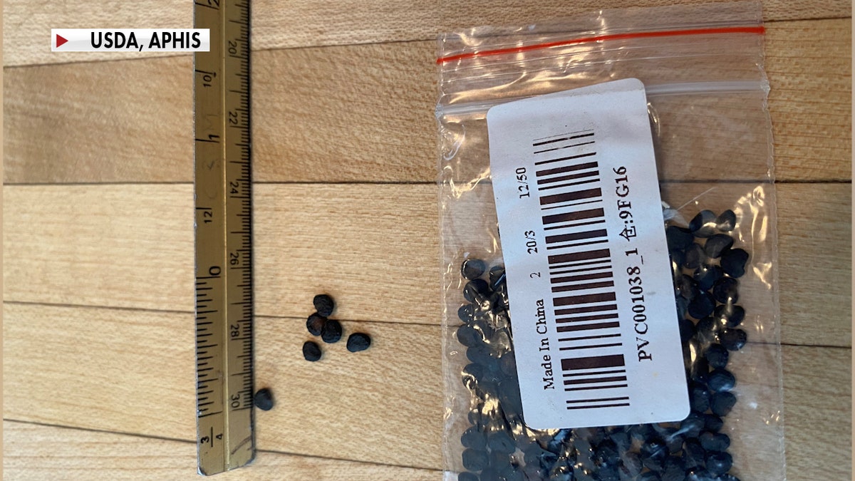 People from coast to coast have been receiving unsolicited seed packages from China. The USDA is investigating, along with state and federal agencies. (USDA, APHIS)