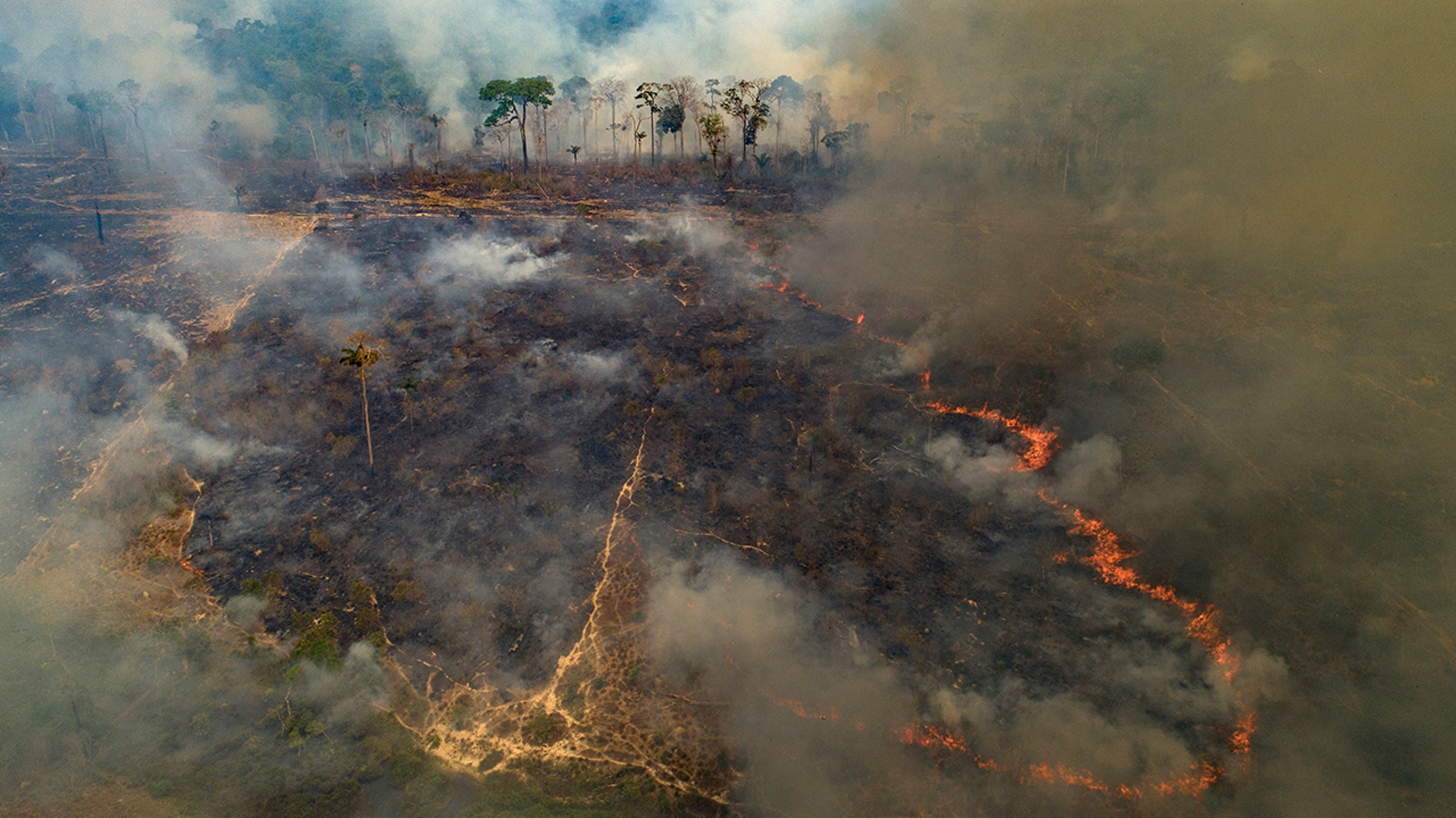 Fire consumes land recently deforested by cattle farmers in the Amazon forest in Novo Progresso, Brazil, Aug. 23, 2020. 
