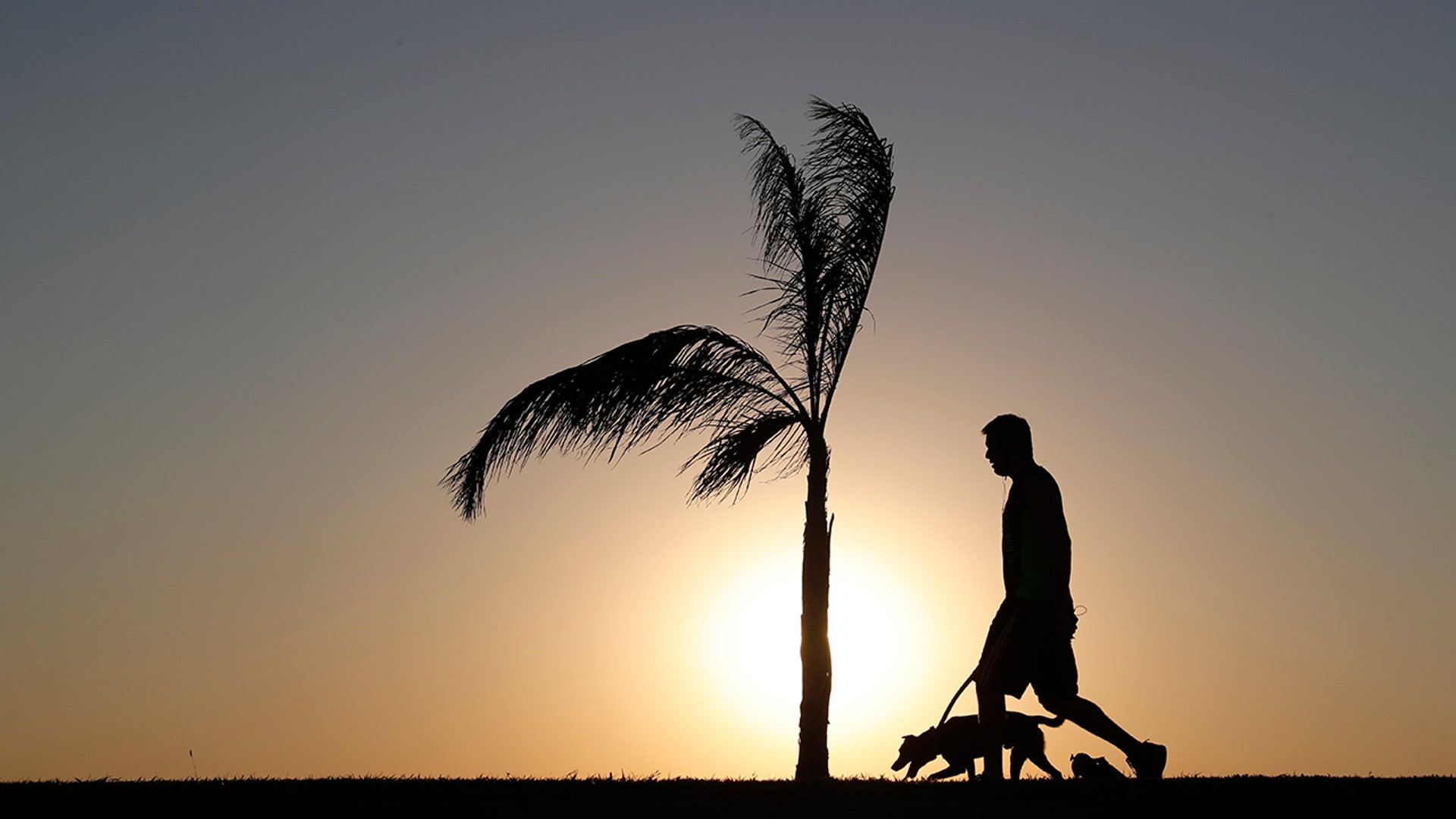 A man walks his dog as the sun sets in Asuncion, Paraguay, Aug. 1, 2020. 