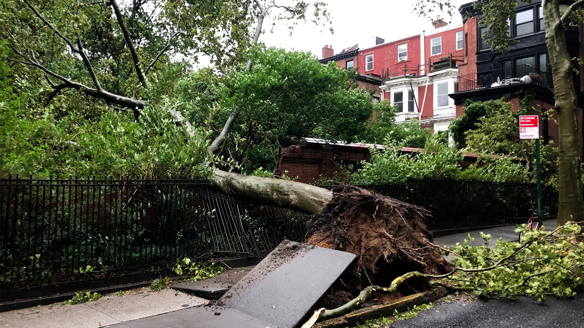 A tree uprooted by high winds lays on a fence in Brooklyn Heights Tuesday, Aug. 4, 2020, in New York