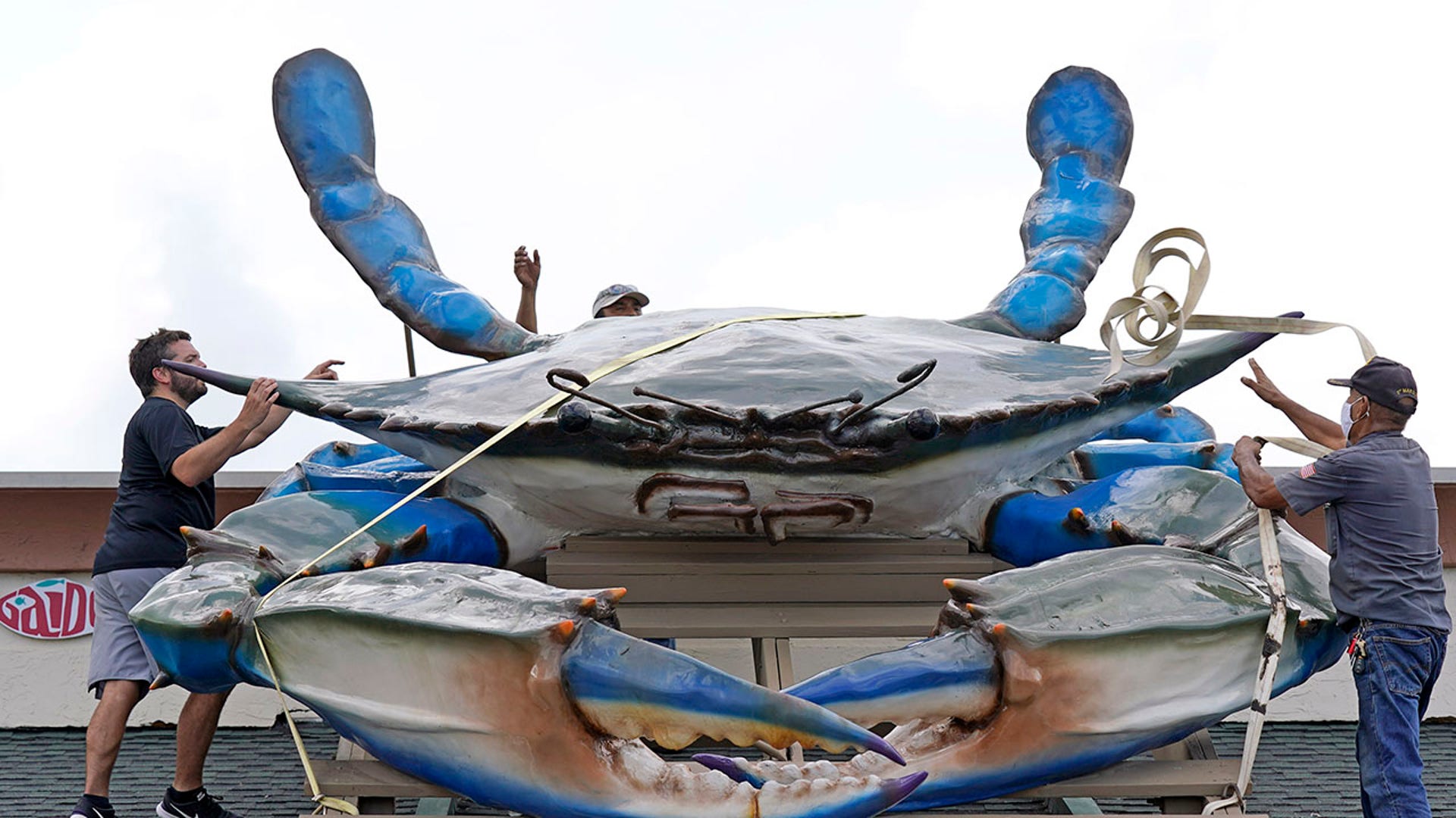 Miguel Andrade, right, throws a strap over a giant crab as owner Nick Gaido, left, and Carlos Avila, rear, help to secure the display on the roof at Gaido's Seafood Restaurant, Tuesday, Aug. 25, 2020, in Galveston, Texas, as Hurricane Laura heads toward the Gulf Coast. The crab has been on display since 1960. (AP Photo/David J. Phillip)