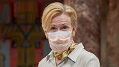 Birx warns coronavirus closures won't suffice in this phase of pandemic, report says