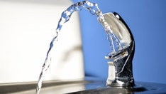 Most US states failing to protect schools' water from lead contaminants, study finds