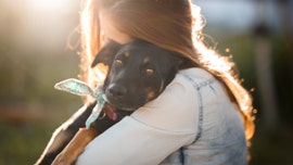 Missing dog from Kentucky found hundreds of miles away in Michigan after 3 years