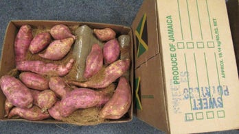 Over $5.5M worth of cocaine found smuggled with yams and potatoes at UK airport