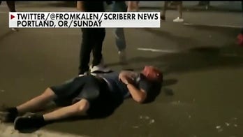 Lara Logan: Why the media is 'not doing a good job' covering violent protesters