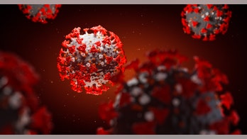 Mutated form of coronavirus may be more contagious, but less deadly, experts say