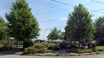 Teens charged after allegedly breaking into NJ petting zoo