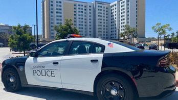 California hotel near Disneyland is site of massive brawl involving adults and youths, police say