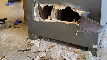 Maryland boy, 5, survives being locked inside a gun safe