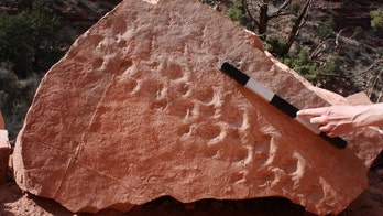 Fossil footprints from 313 million years ago oldest ever found in Grand Canyon