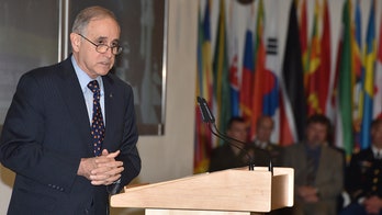 Trump's pick for Ukraine ambassador vows to report election interference: 'Sounds reasonable to me'