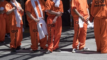 ACLU launches push to free 50,000 inmates from US prisons in response to 'systemic injustice'
