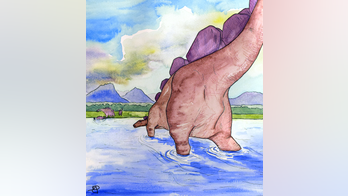 166M-year-old stegosaur fossil found in Scotland