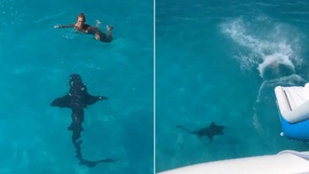 Woman slides into Bahamian waters as 8-foot shark 'bumped' into her