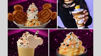 Disney World reveals fall treats menu for theme park