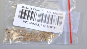 Arkansas man plants mystery seeds from China; USDA preps to destroy