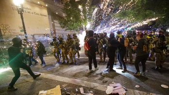 27 arrested as Portland reaches 100 days of protests