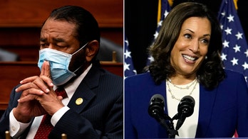 Rep. Al Green insists Biden made 'final decision' on Harris pick, calls ticket 'very special for all of us'