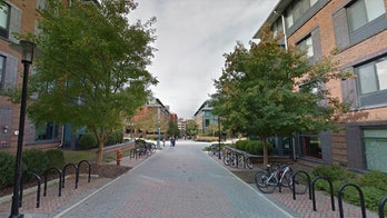 Towson University sees coronavirus cases jump, moves all classes online for 1st week
