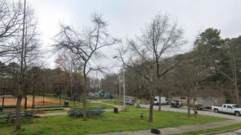 Atlanta police searching for dognappers who allegedly stole man's puppy at gunpoint