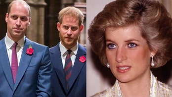 Princess Diana would've made Prince Harry, Prince William 'work through their issues', author claims