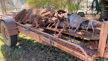 Australian rangers trap 770-pound crocodile near Outback tourist spot
