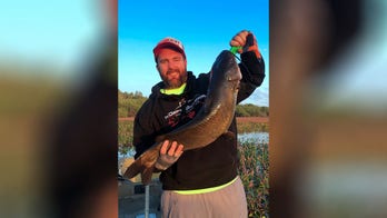 Idaho angler surprised to reel in record-breaking catfish