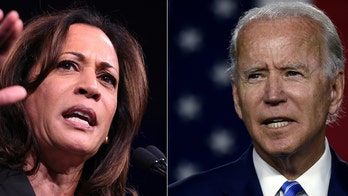 Biden's choice of Harris for ticket not universally embraced in party