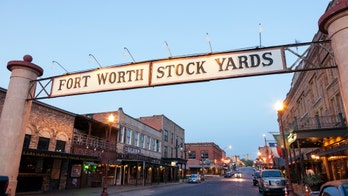 Dallas off-duty officer shot by man trying to snatch wife's purse, police allege