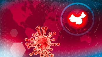 Coronavirus discovered on frozen seafood packaging in China: report