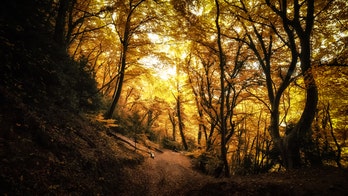 UK police break up rave in Forest of Dean amid coronavirus concerns