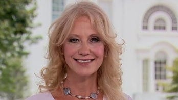 Conway dismisses Duckworth claim gun control would stem urban violence as bid to 'mollify the hard left'