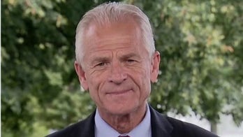 WH trade adviser Navarro says Americans' anger at each other over pandemic 'continues to puzzle me'