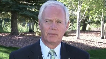 Sen. Johnson: 'We should have known' about 'stunning' revelations in Russia probe origins 'years ago'