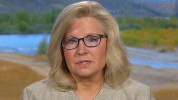Liz Cheney says Kamala Harris 'sounds just like Karl Marx' in video on equity